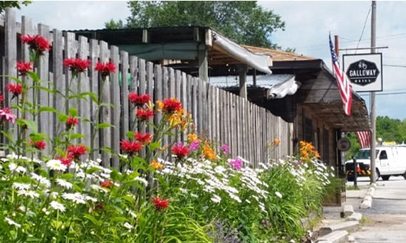 Galloway Grill flowers